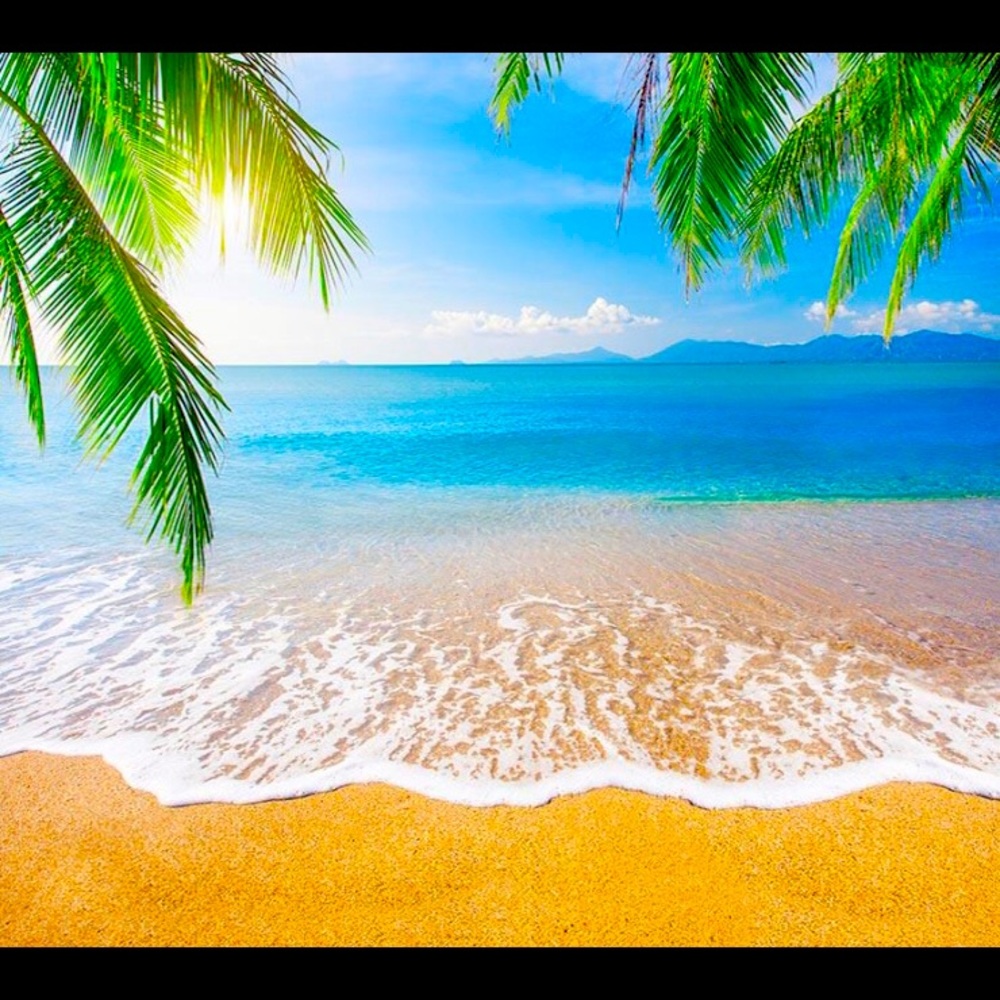 Summer chilling…